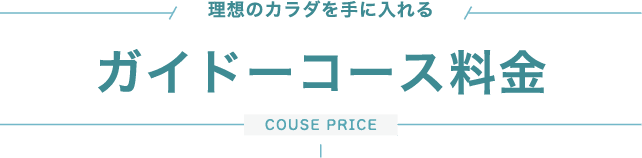 理想のカラダを手に入れるガイドーコース料金